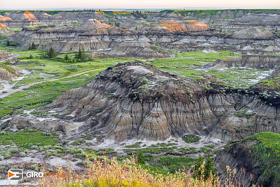 Canyon Morning Light