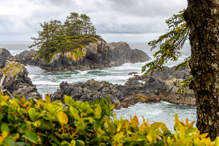 Wild-Pacific-Trail-Views.jpg
