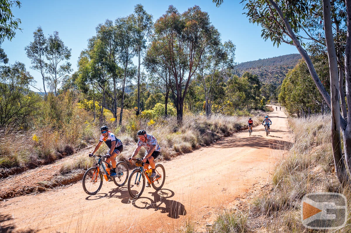 GRV-Visuals2023-0023