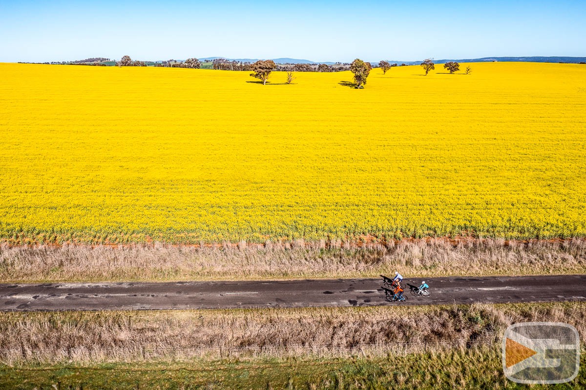 GRV-Visuals2023-0024