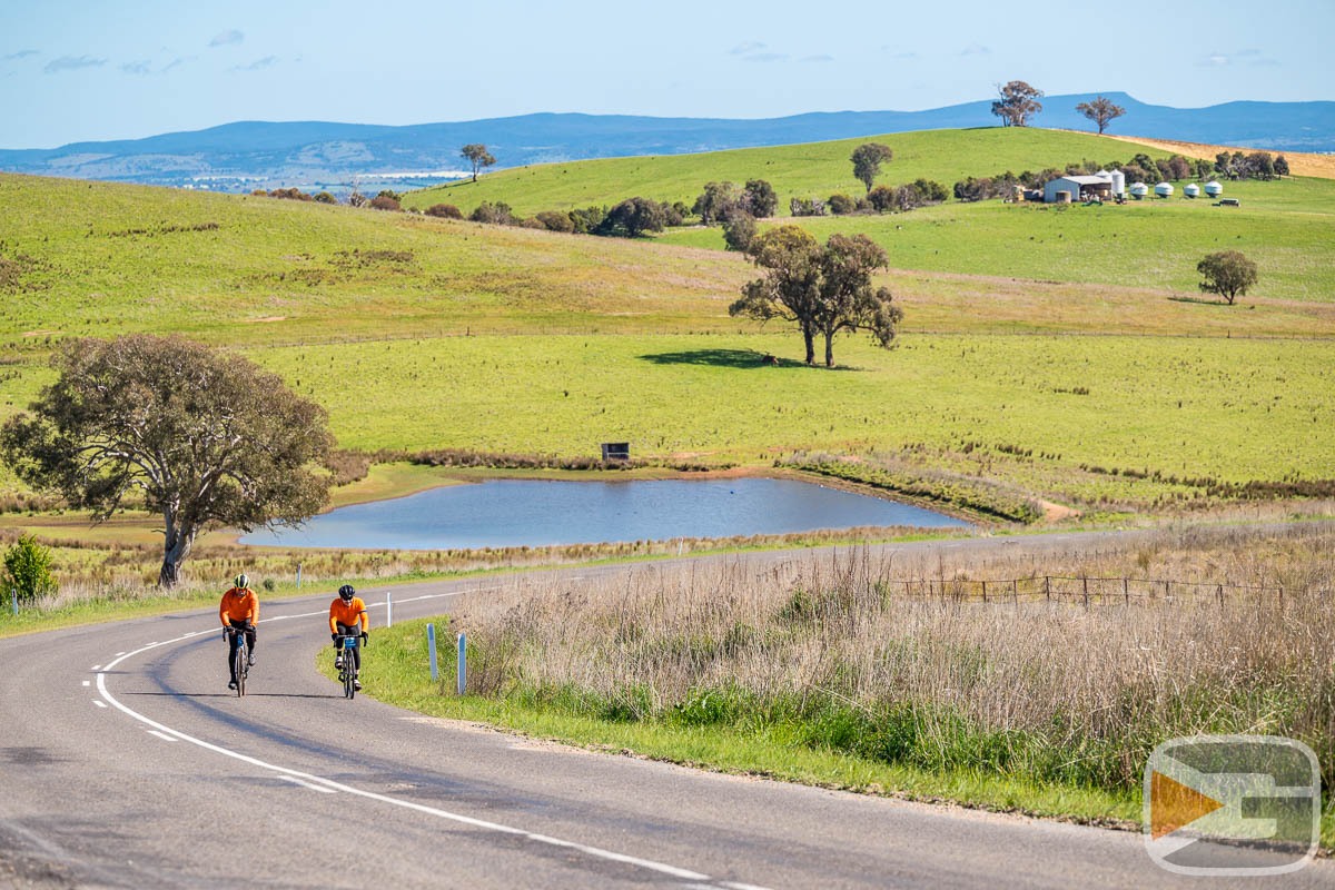 GRV-Visuals2023-0026