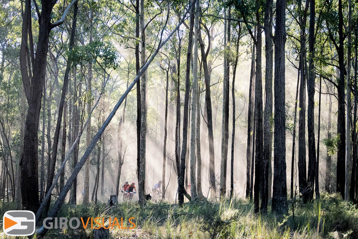 Letting-the-Light-find-you