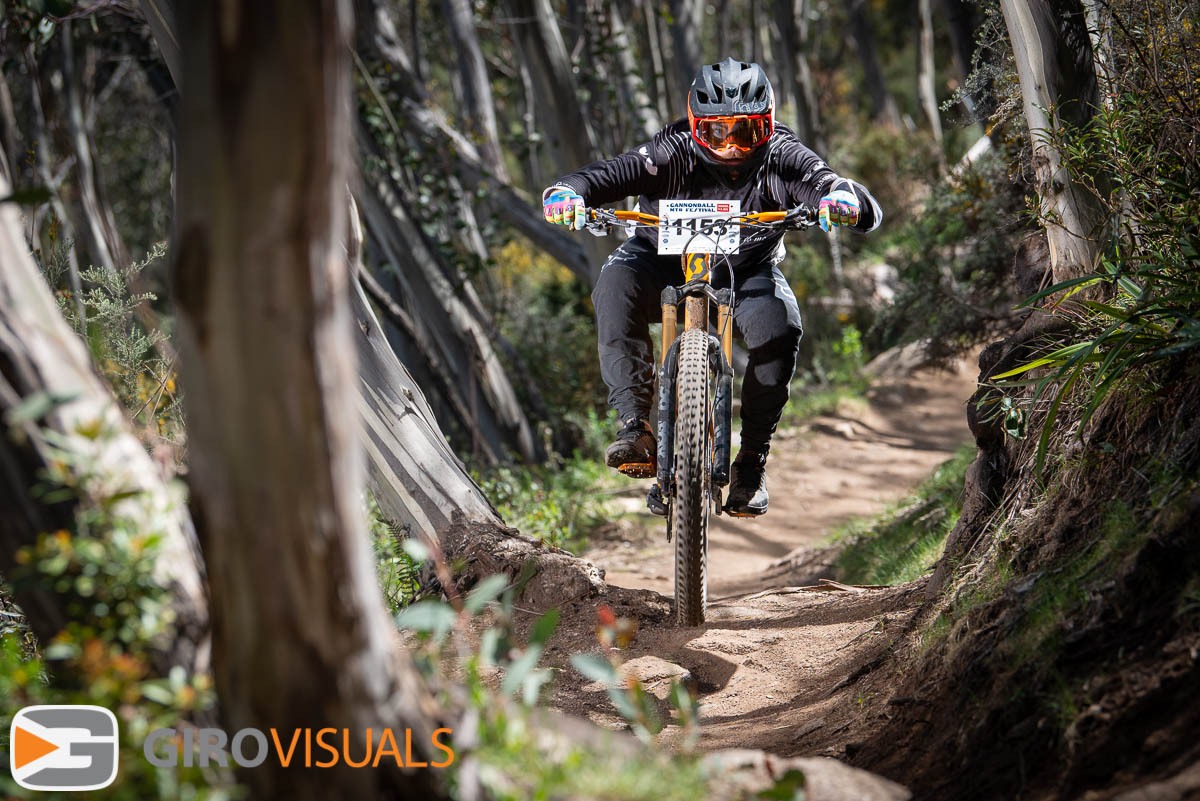 New-Forests-new-Light