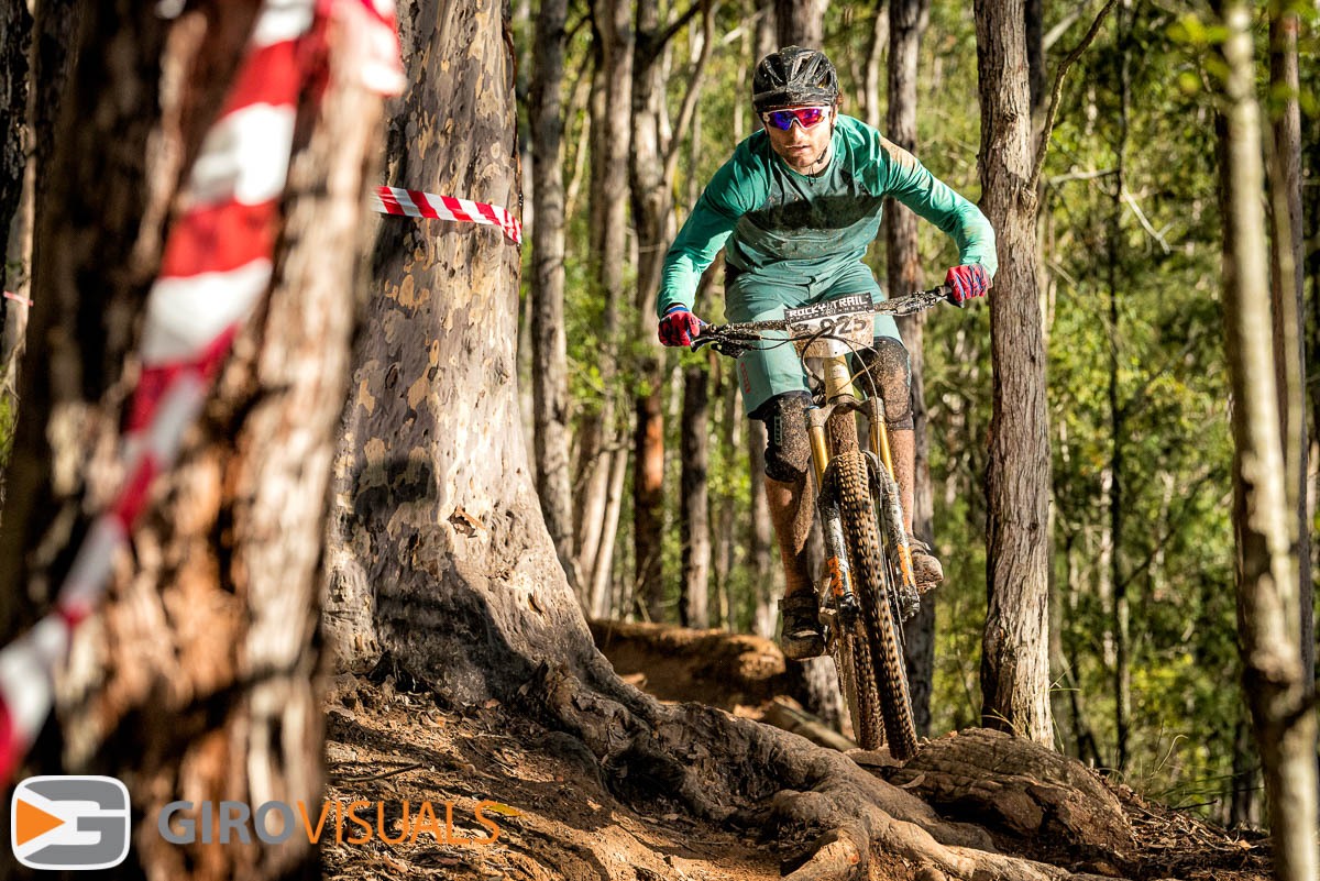 Same-Forest-different-Light