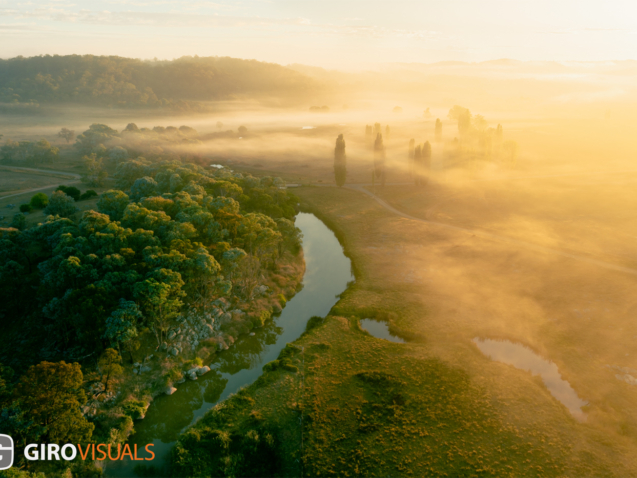 The morning light glows golden as it breaks through the fog.