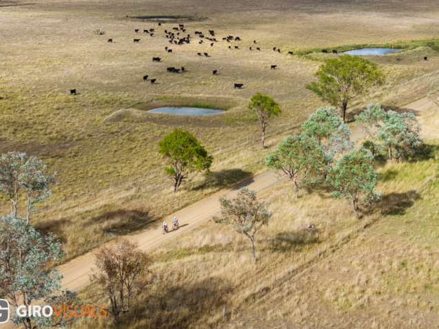 Views from above open up new subjects.  From the ground you could not even see the cows behind.