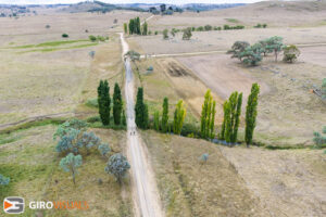 This shot with the trees didnt look as intersting from the road. Above it totally changed.