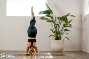 Divine Flow Yoga