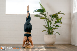 Divine Flow Yoga